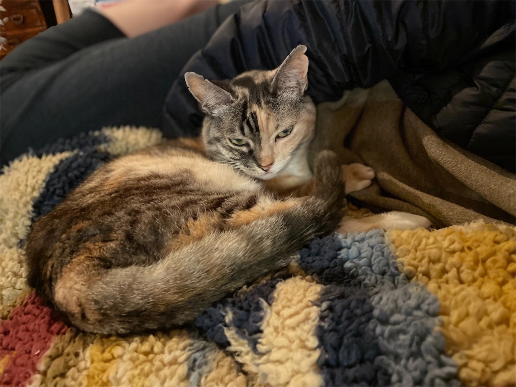 f:id:hiraryo0201:20220406071937j:image f:id:hiraryo0201:20220406071937j:image