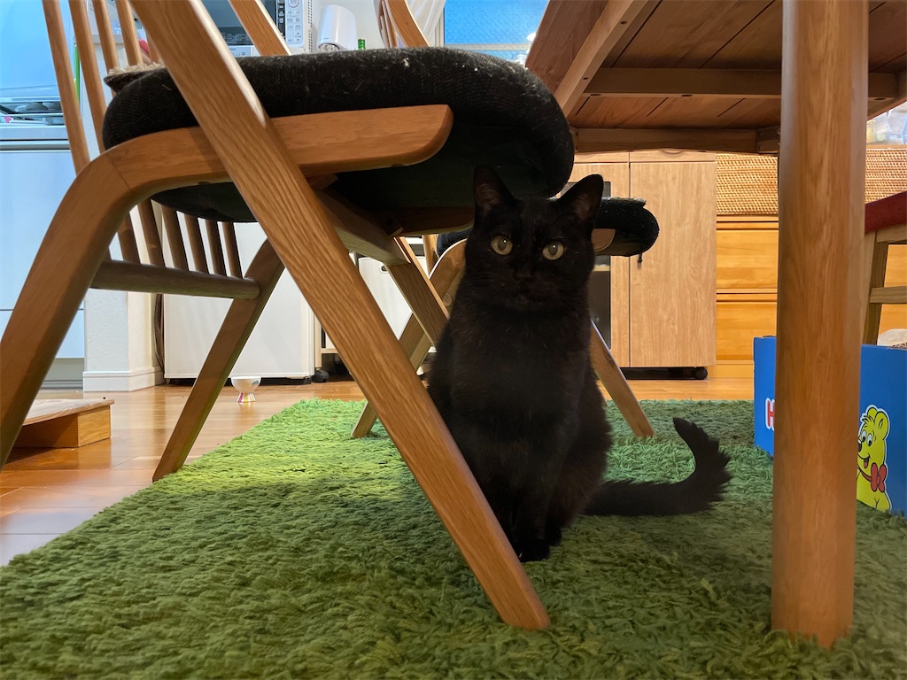 f:id:hiraryo0201:20220501110031j:image