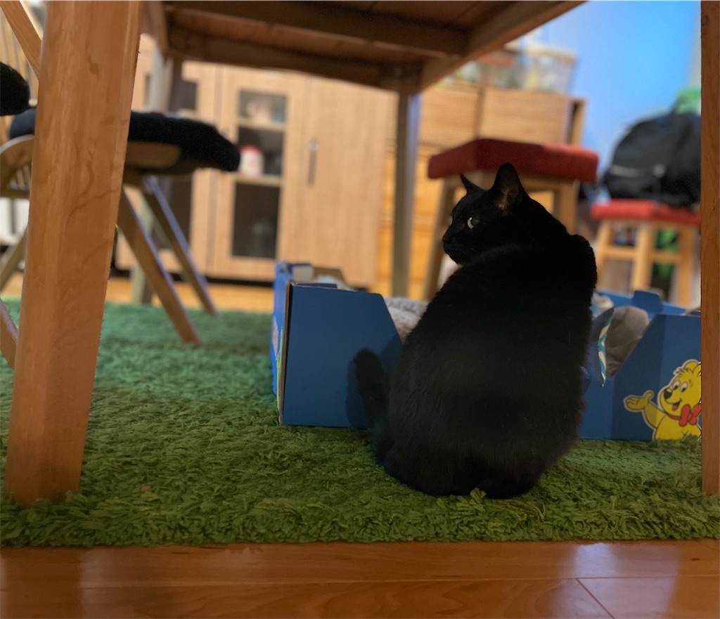 f:id:hiraryo0201:20220501110036j:image