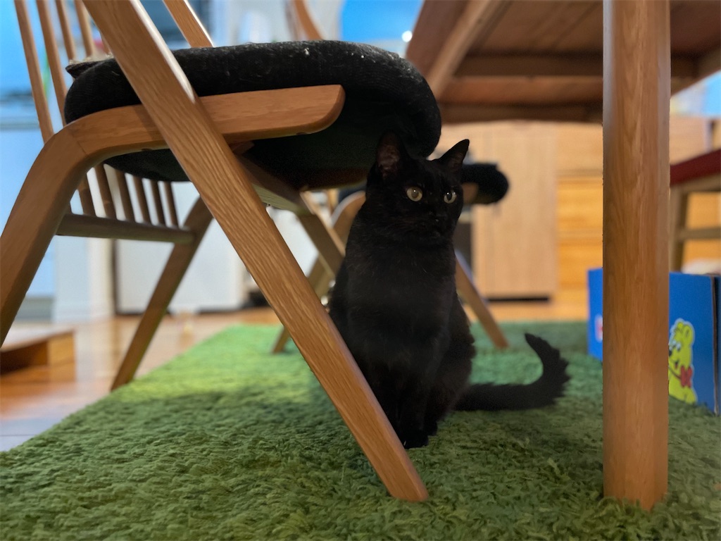 f:id:hiraryo0201:20220501110039j:image