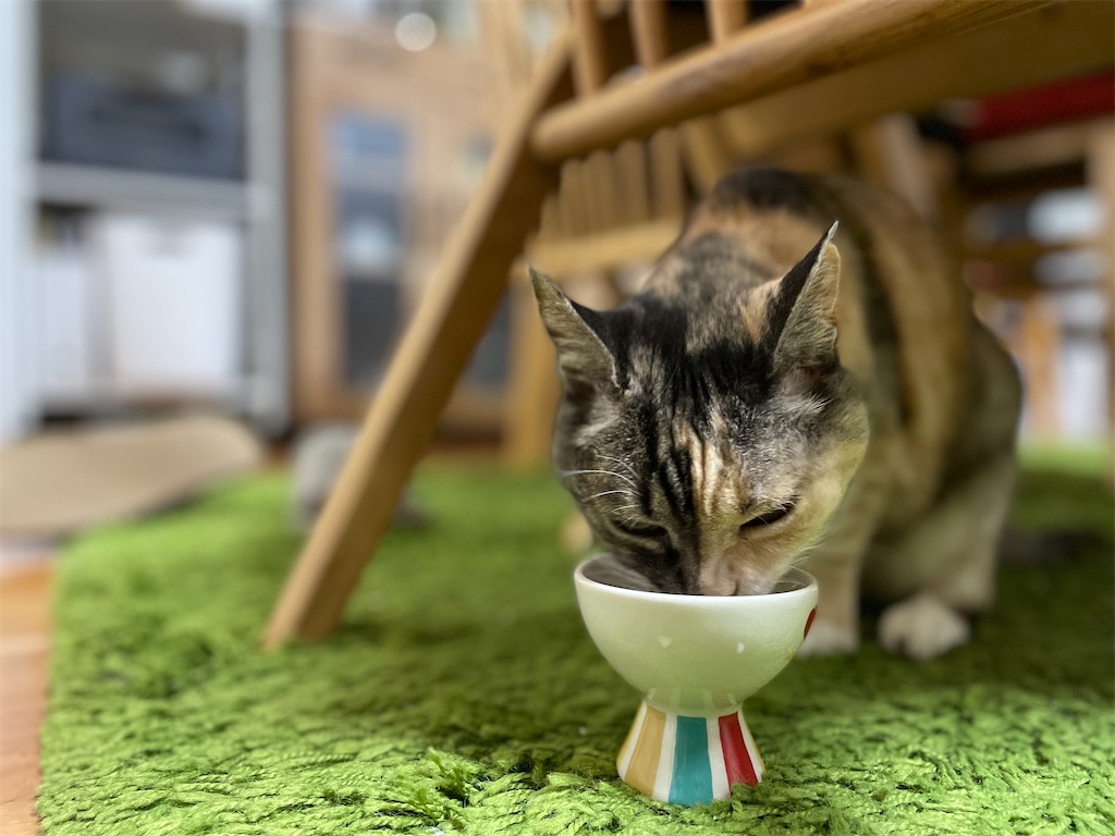 f:id:hiraryo0201:20220507142709j:image