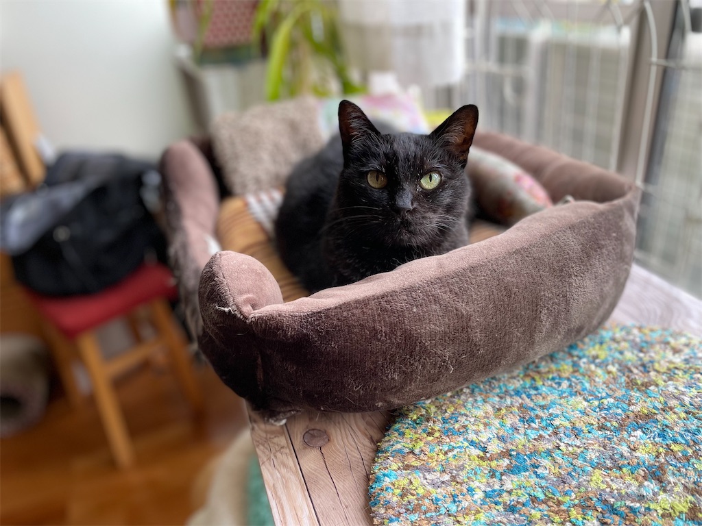 f:id:hiraryo0201:20220508090345j:image f:id:hiraryo0201:20220508090345j:image