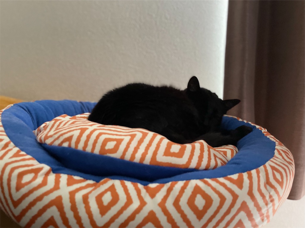 f:id:hiraryo0201:20220511191624j:image