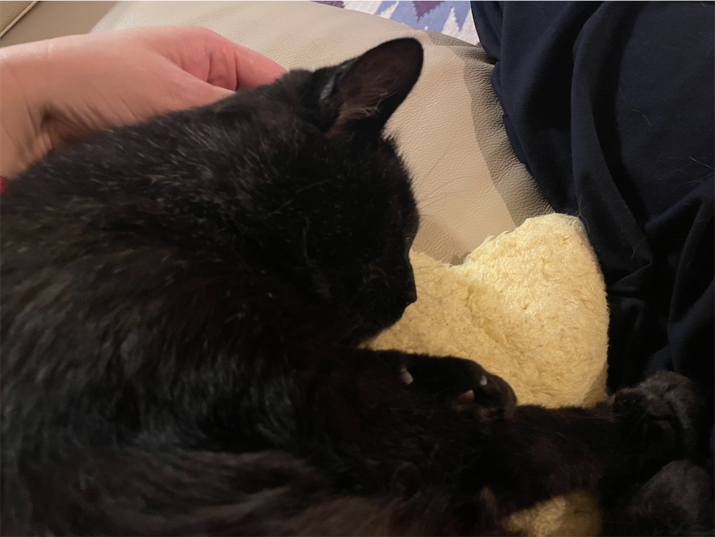 f:id:hiraryo0201:20220519214401j:image