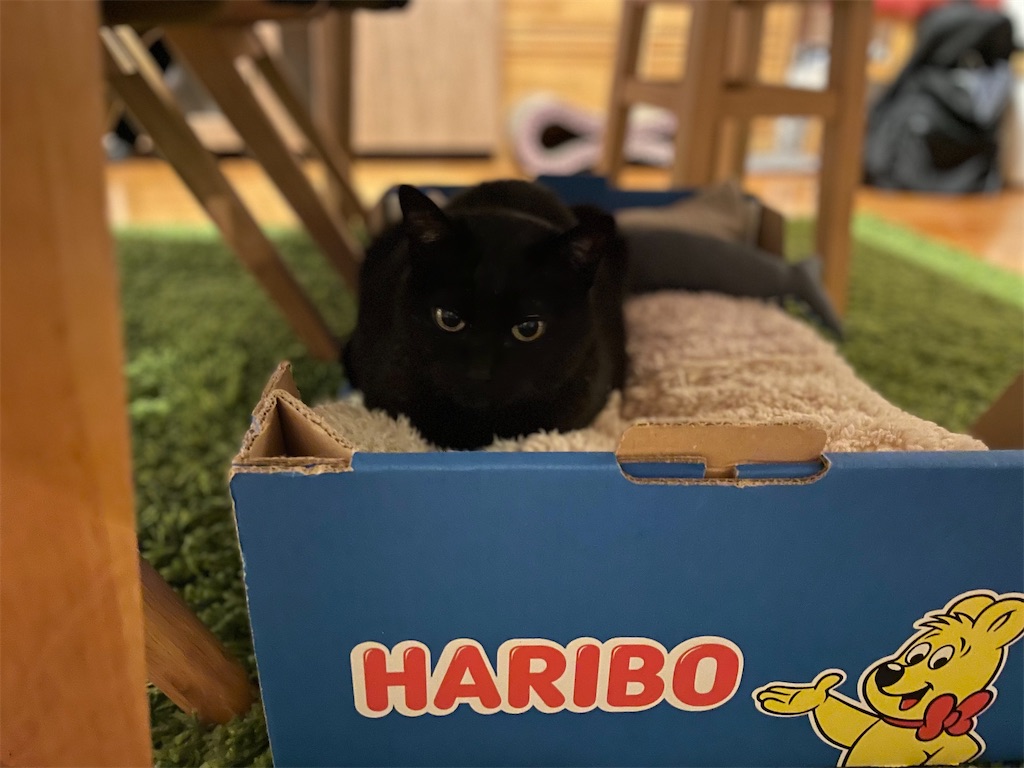 f:id:hiraryo0201:20220519214404j:image