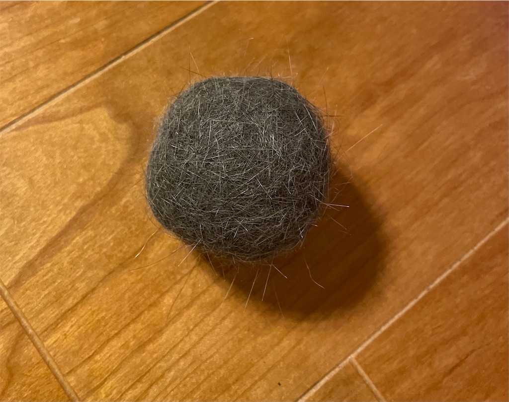 f:id:hiraryo0201:20220519215036j:image