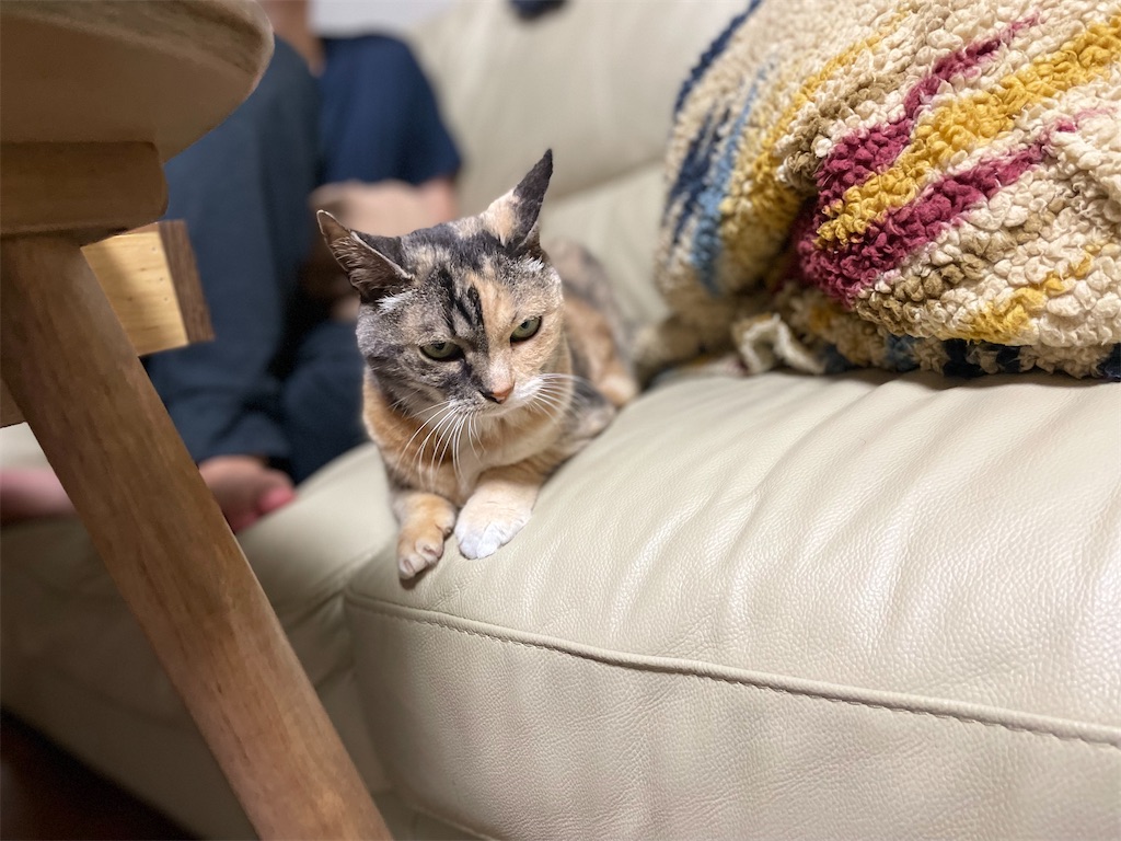 f:id:hiraryo0201:20220527210439j:image f:id:hiraryo0201:20220527210439j:image