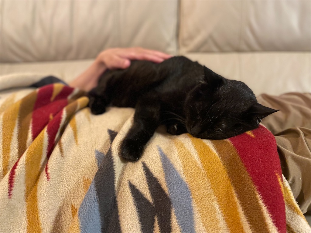 f:id:hiraryo0201:20220611165241j:image