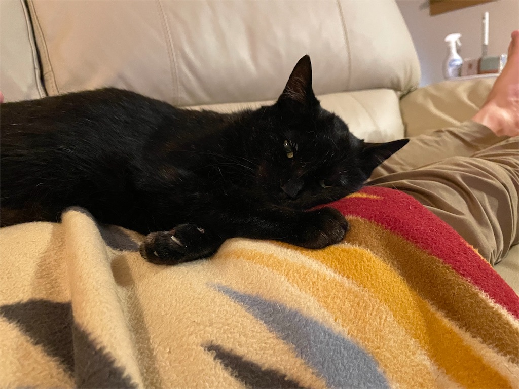 f:id:hiraryo0201:20220611165246j:image