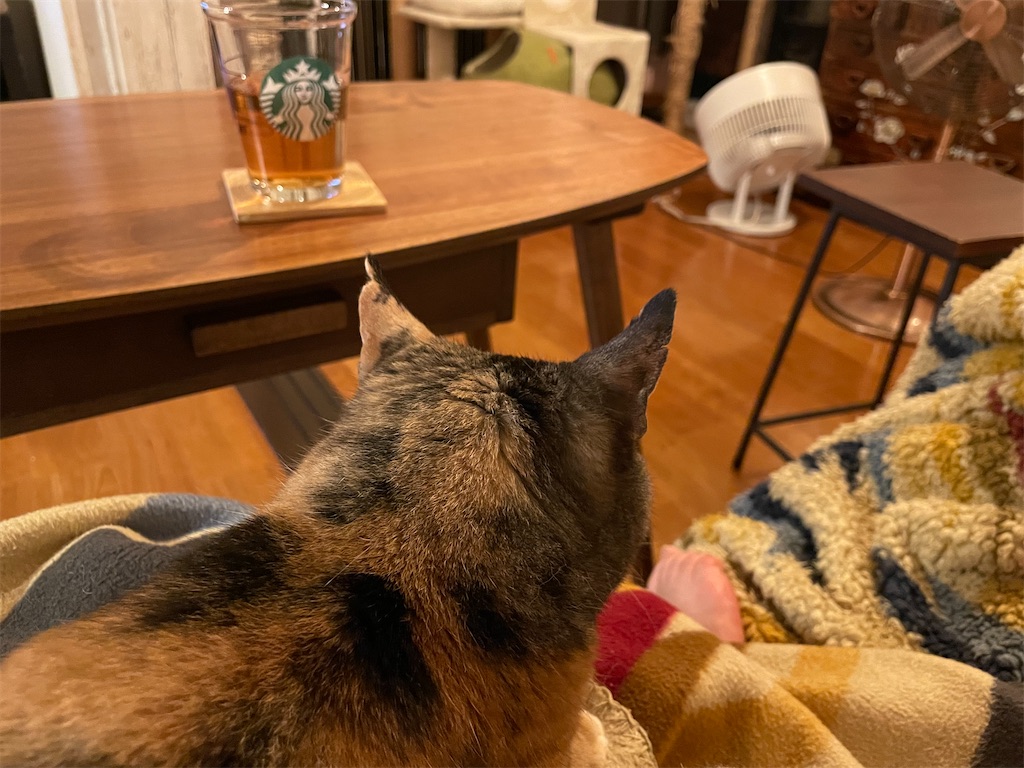 f:id:hiraryo0201:20220703094953j:image