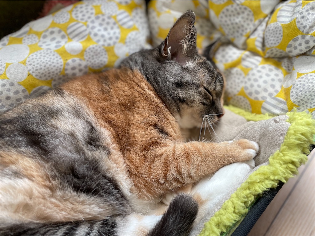 f:id:hiraryo0201:20220724132529j:image f:id:hiraryo0201:20220724132529j:image