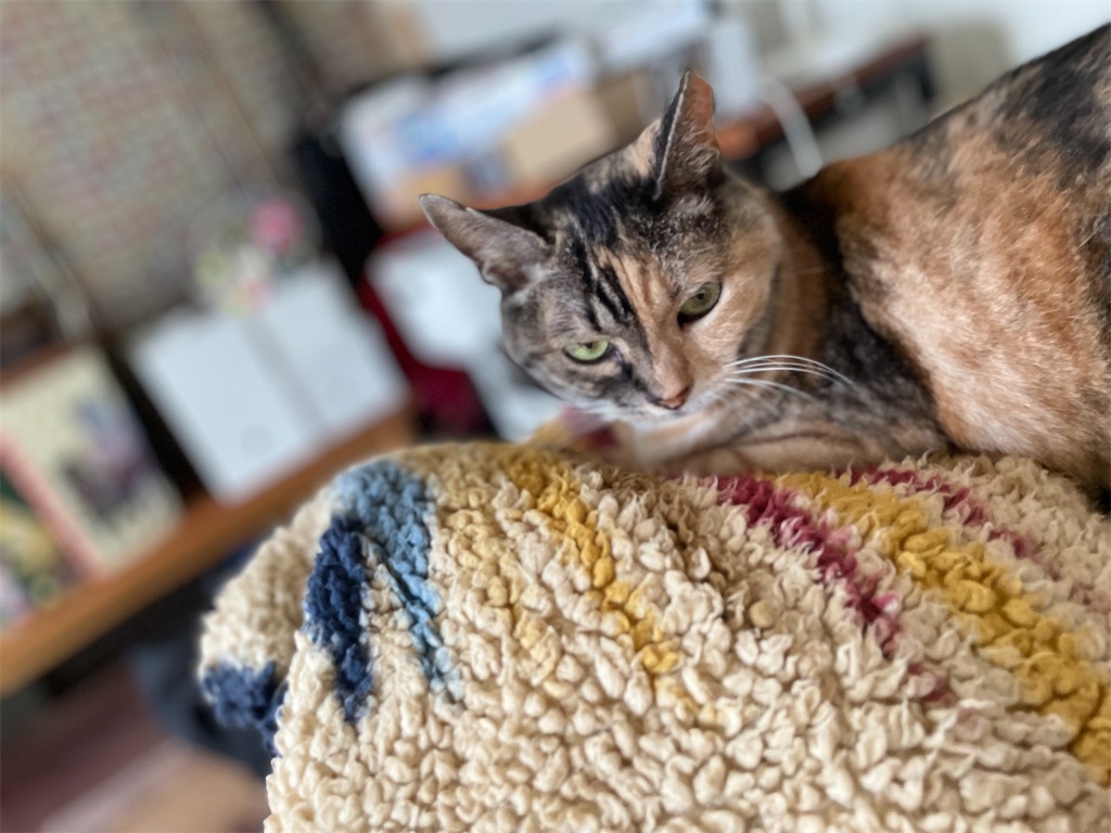 f:id:hiraryo0201:20220724132556j:image f:id:hiraryo0201:20220724132556j:image