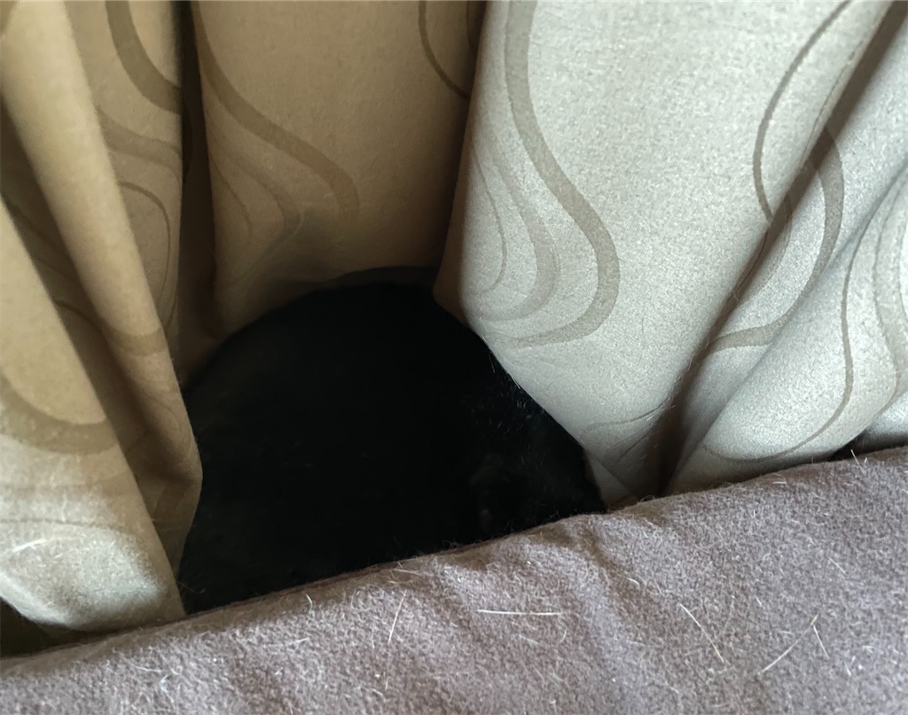 f:id:hiraryo0201:20220726125421j:image