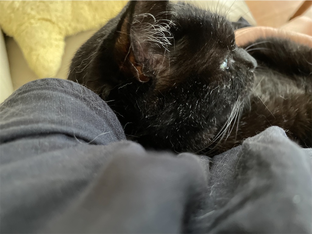 f:id:hiraryo0201:20220726192938j:image