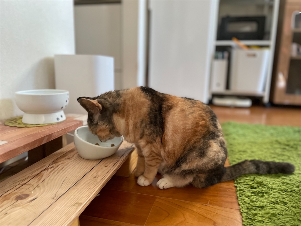 f:id:hiraryo0201:20220731172750j:image f:id:hiraryo0201:20220731172750j:image