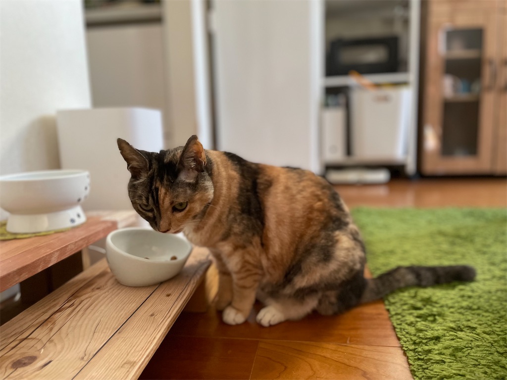 f:id:hiraryo0201:20220731172753j:image f:id:hiraryo0201:20220731172753j:image