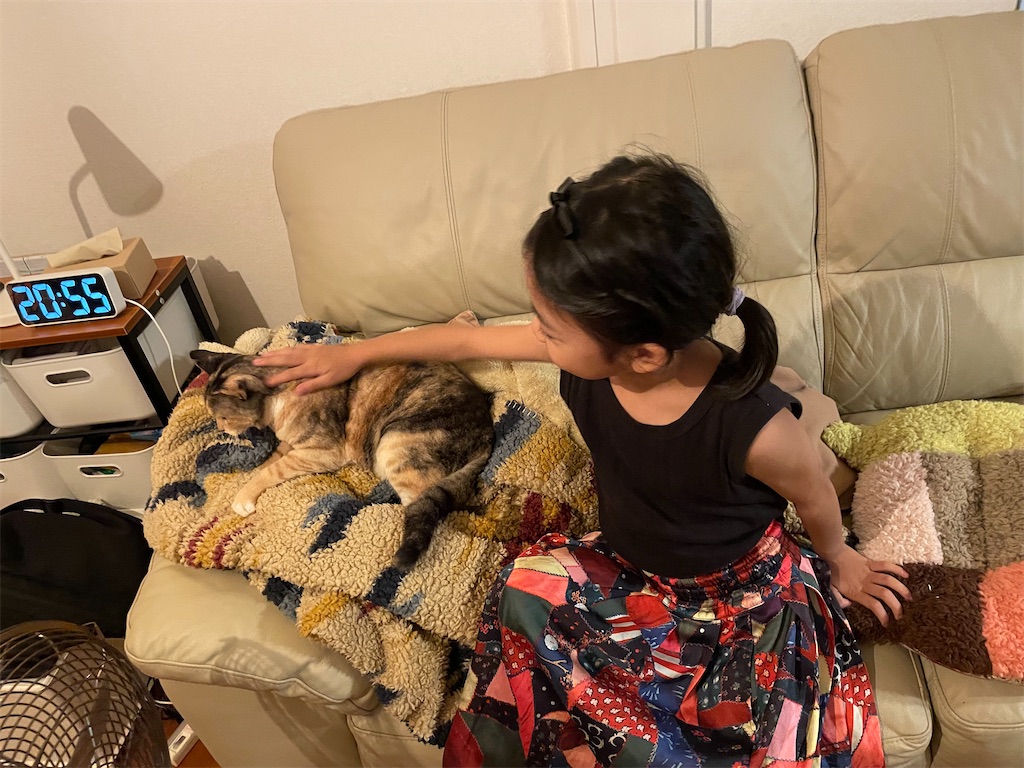 f:id:hiraryo0201:20220821162807j:image