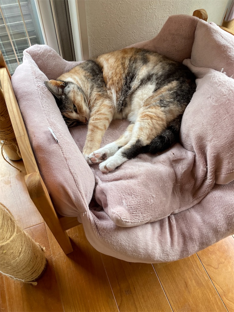 f:id:hiraryo0201:20220821162824j:image f:id:hiraryo0201:20220821162824j:image