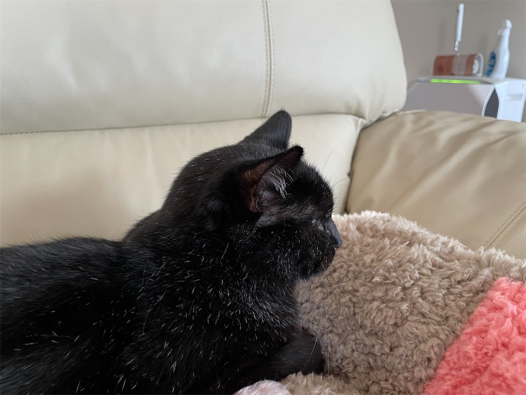 f:id:hiraryo0201:20220821191946j:image