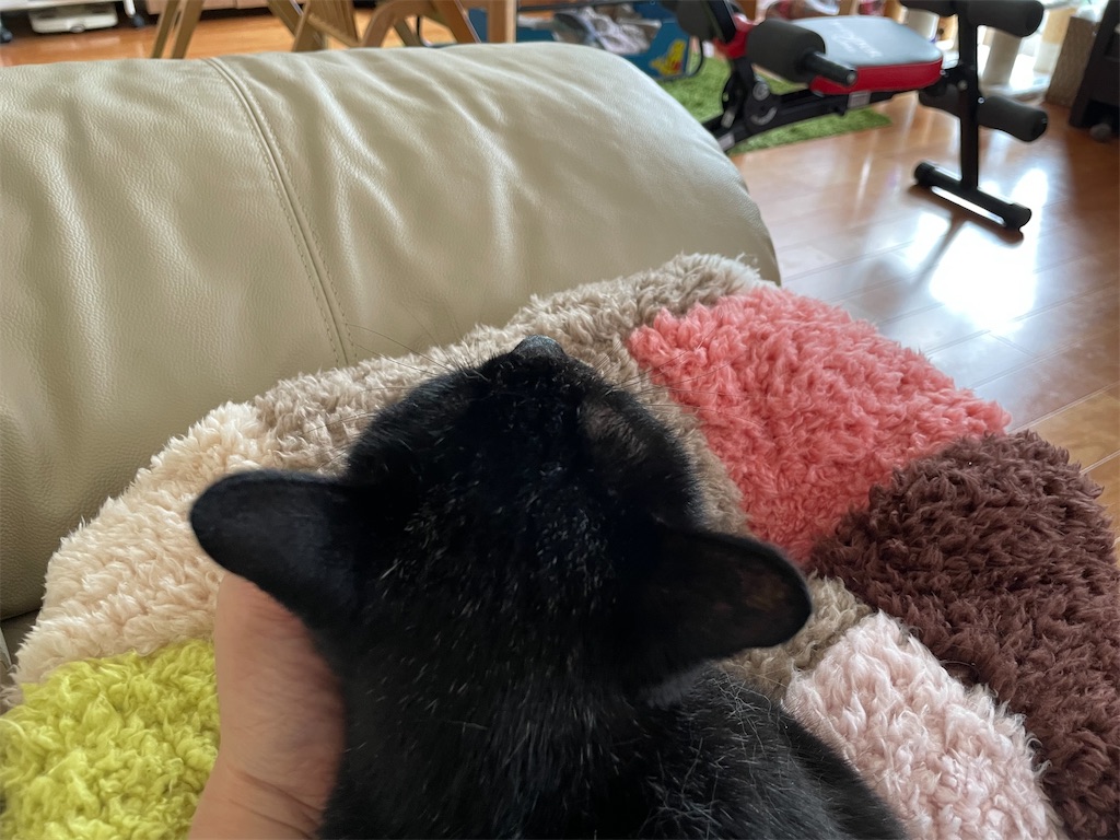 f:id:hiraryo0201:20220821191956j:image