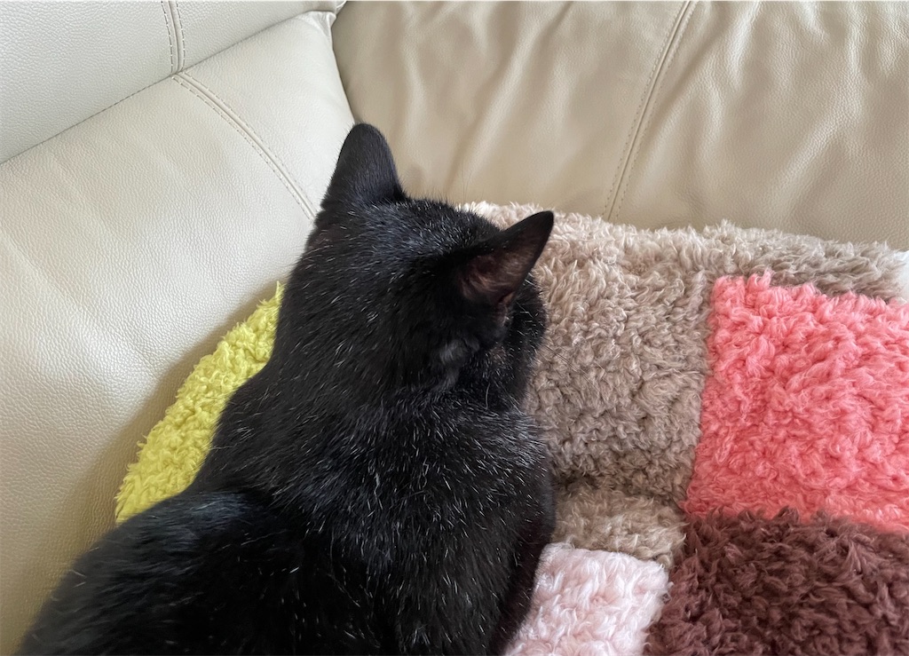 f:id:hiraryo0201:20220821192005j:image