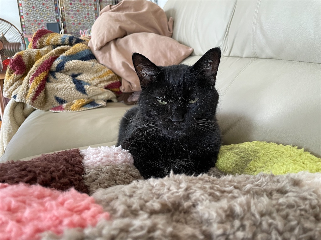 f:id:hiraryo0201:20220821192809j:image