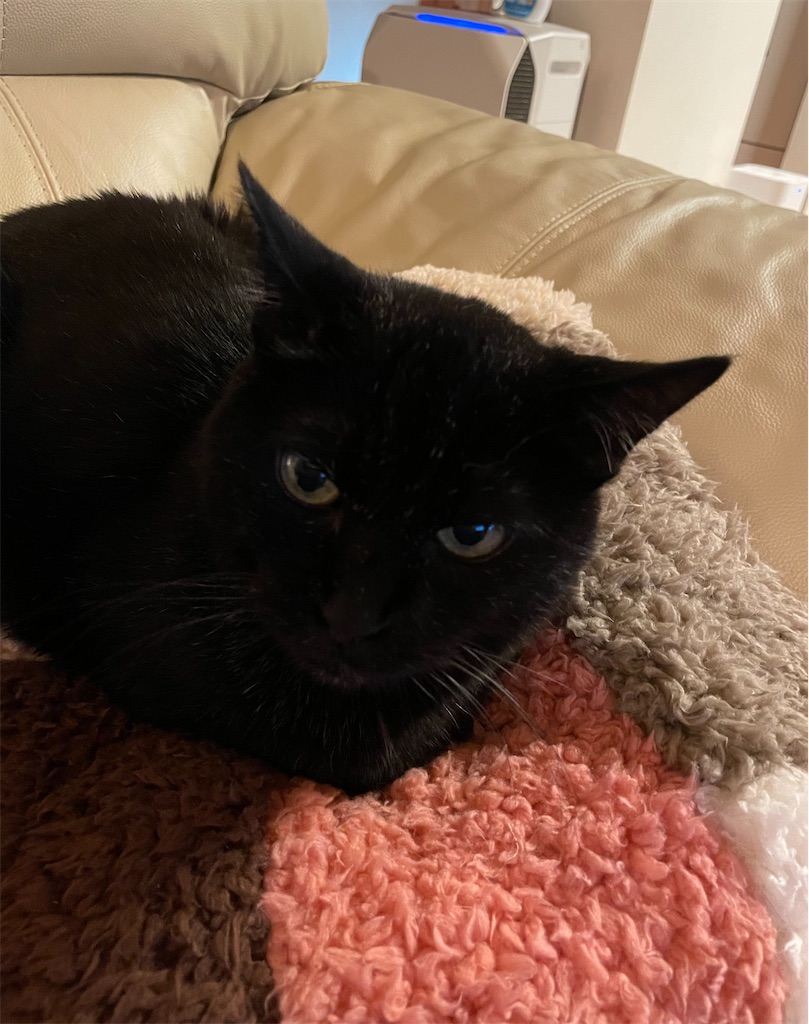 f:id:hiraryo0201:20220824202044j:image