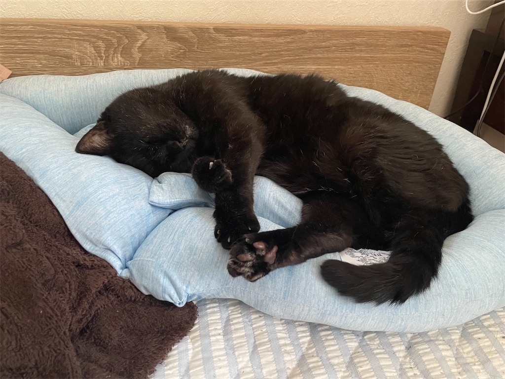 f:id:hiraryo0201:20220904083338j:image