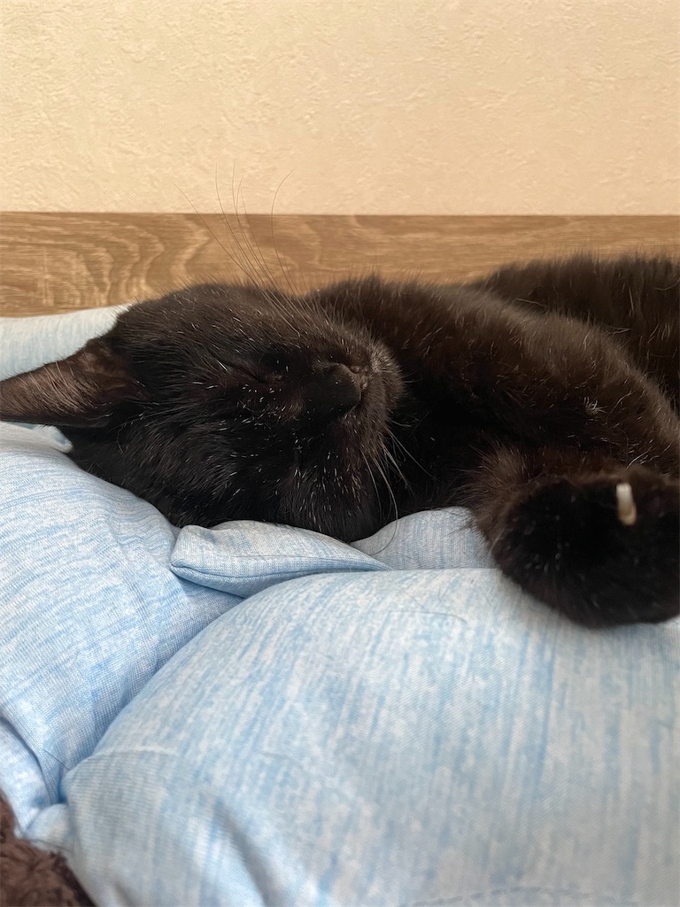 f:id:hiraryo0201:20220904085009j:image