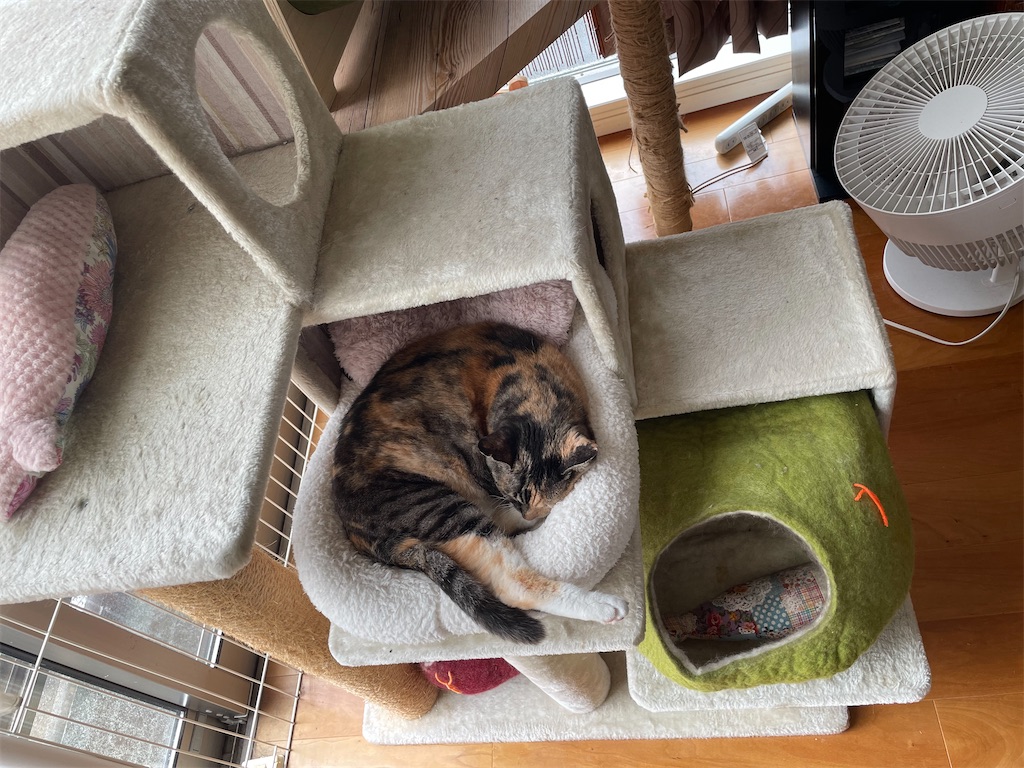 f:id:hiraryo0201:20220907220711j:image f:id:hiraryo0201:20220907220711j:image