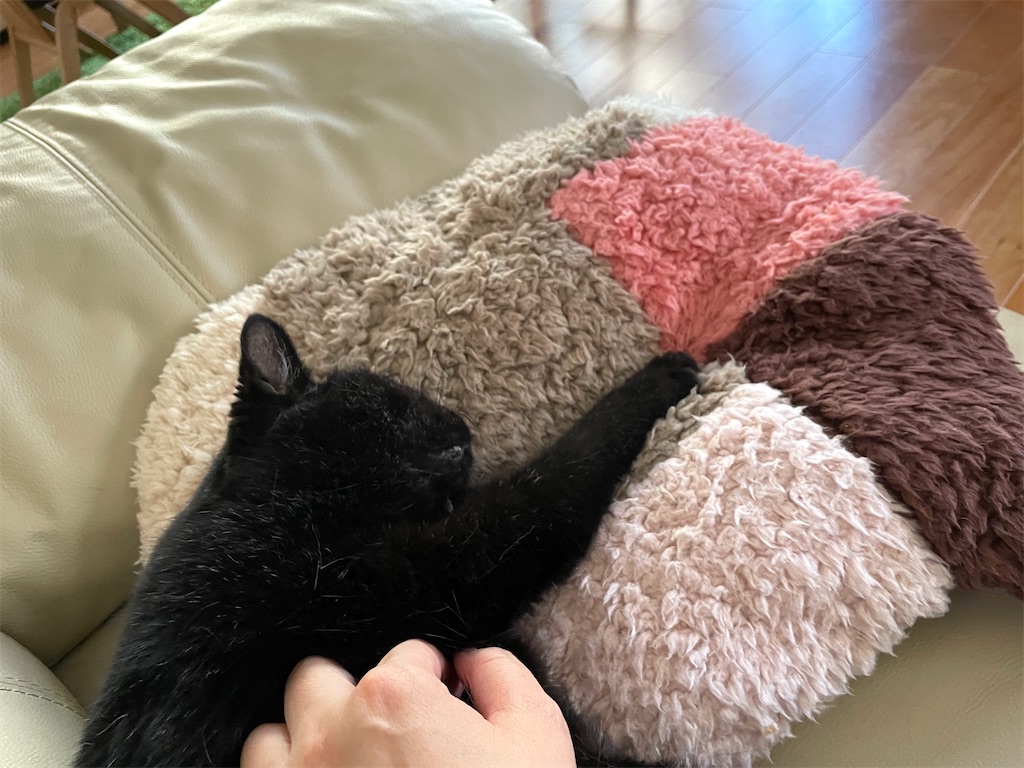 f:id:hiraryo0201:20220910181153j:image