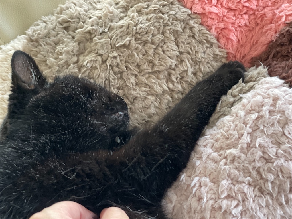 f:id:hiraryo0201:20220910181202j:image