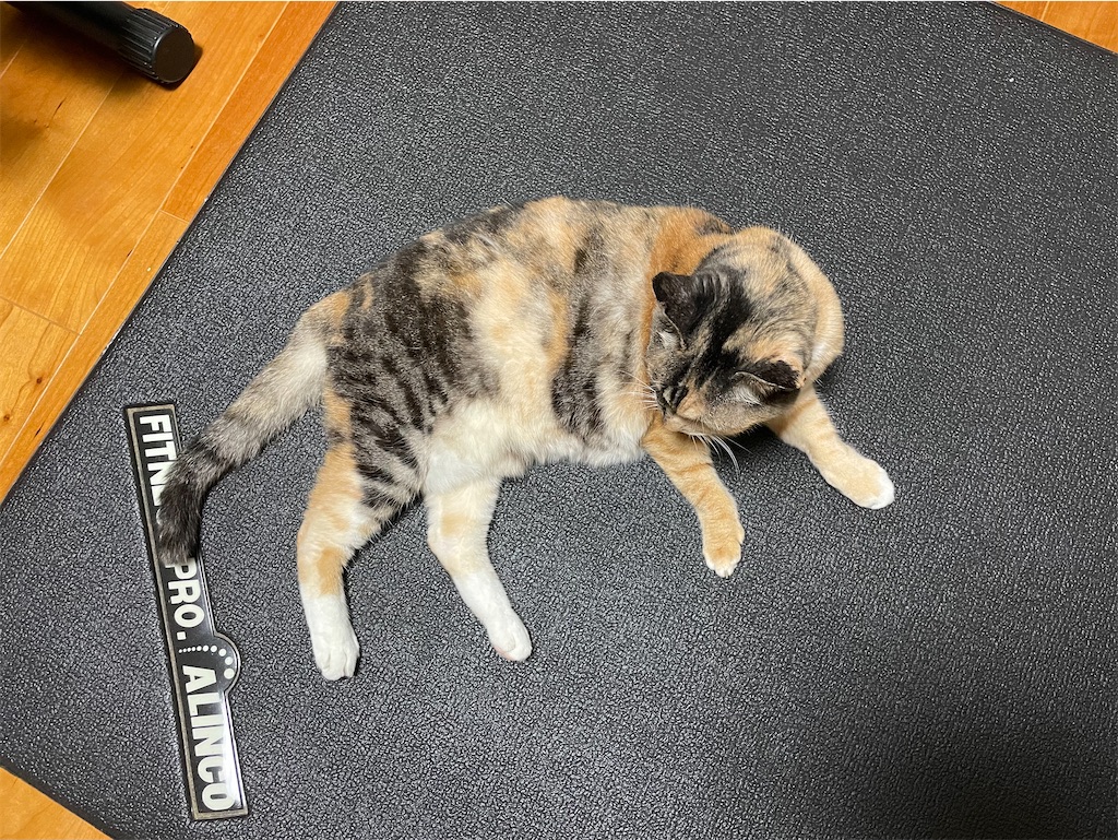 f:id:hiraryo0201:20220917080403j:image