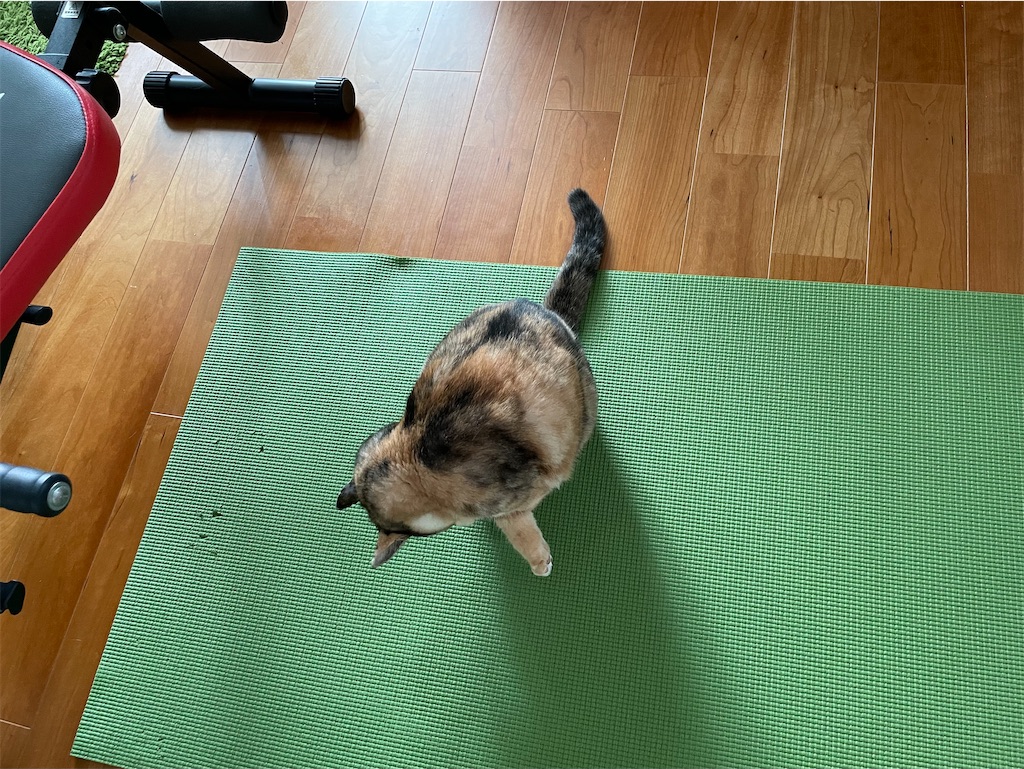 f:id:hiraryo0201:20220918100018j:image