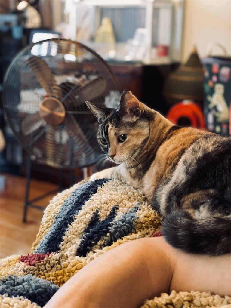 f:id:hiraryo0201:20220918134836j:image f:id:hiraryo0201:20220918134836j:image