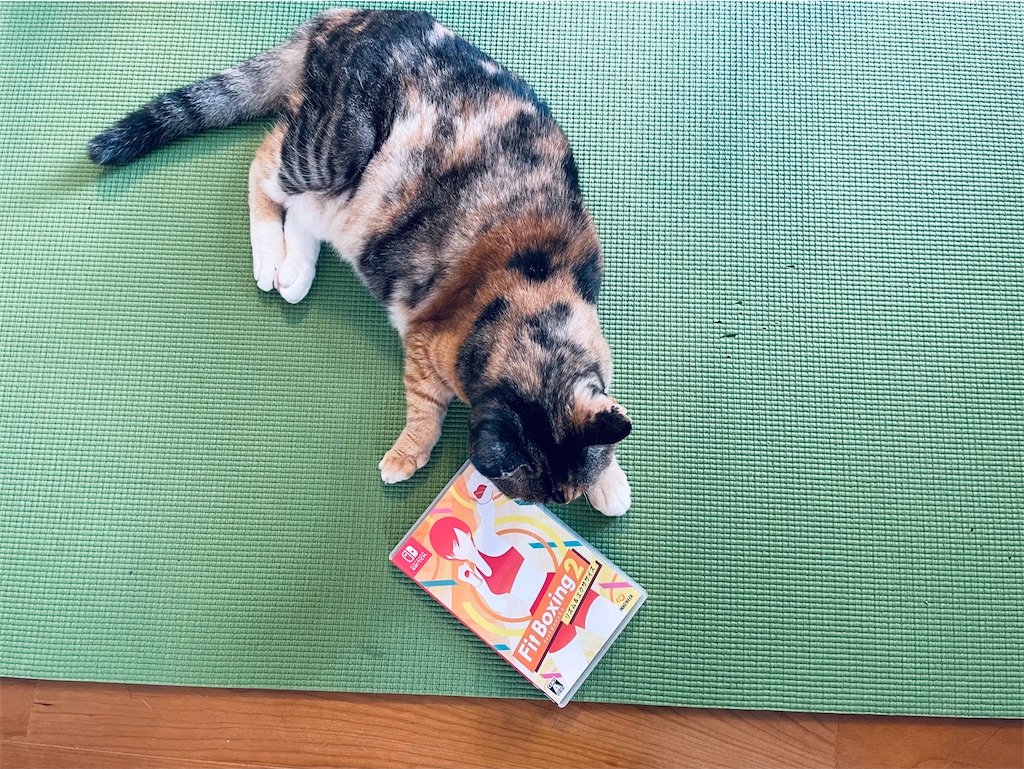 f:id:hiraryo0201:20220918134839j:image