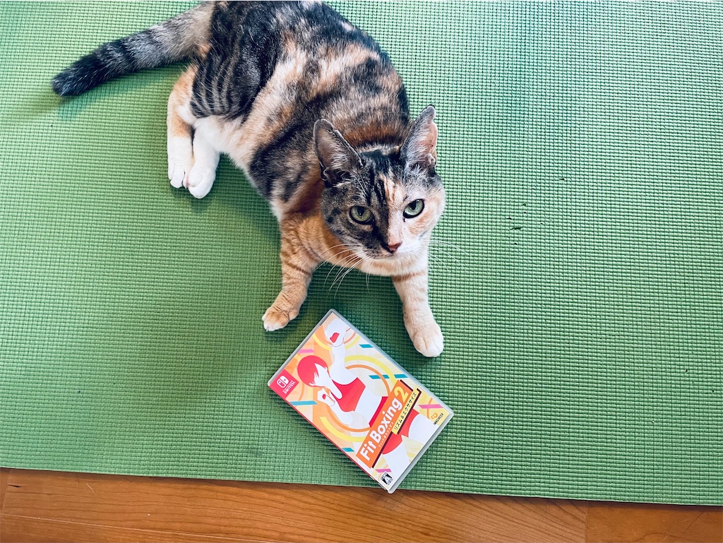 f:id:hiraryo0201:20220918134841j:image