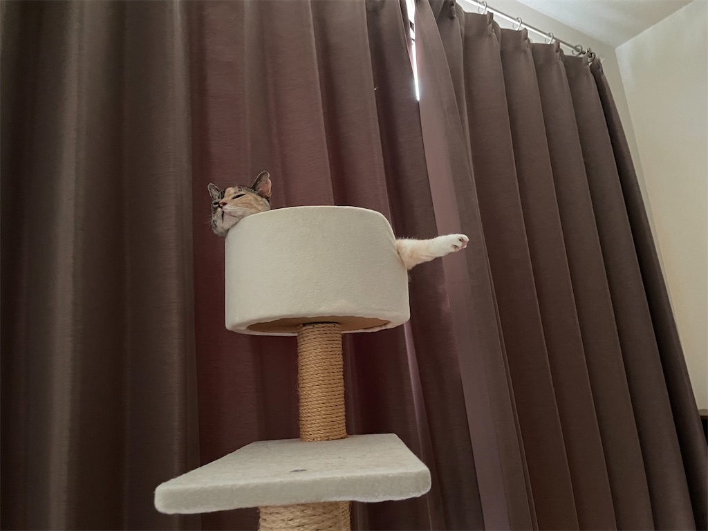 f:id:hiraryo0201:20220919200340j:image