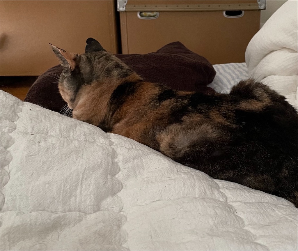 f:id:hiraryo0201:20220919201027j:image