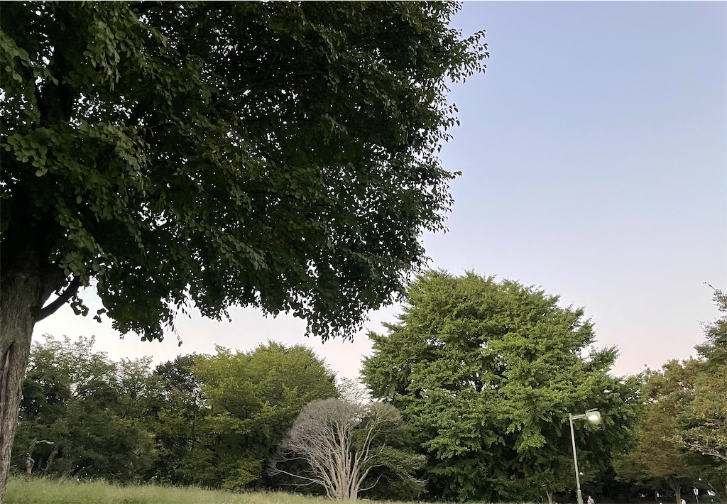 f:id:hiraryo0201:20221002000658j:image f:id:hiraryo0201:20221002000658j:image