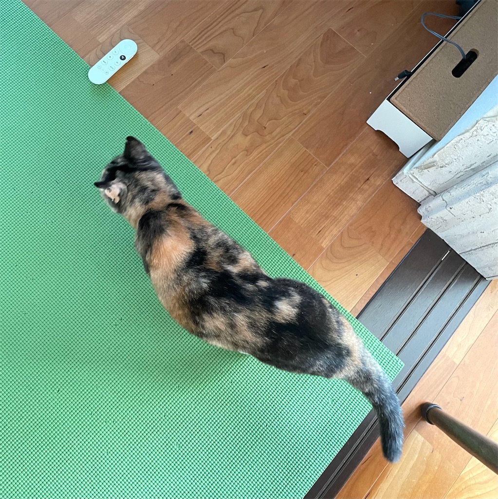 f:id:hiraryo0201:20221002002031j:image