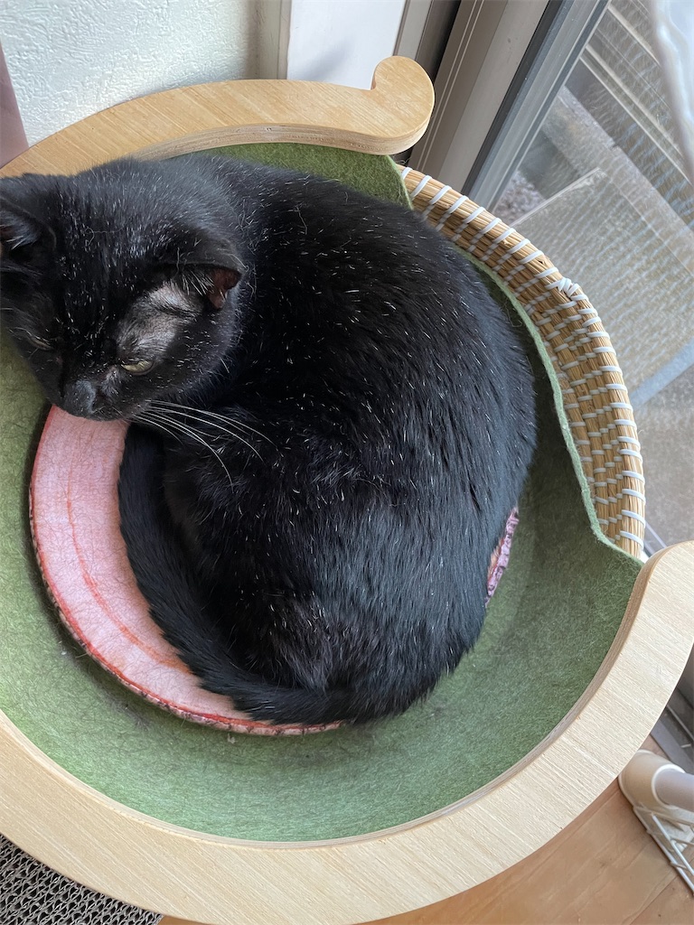 f:id:hiraryo0201:20221002175453j:image f:id:hiraryo0201:20221002175453j:image