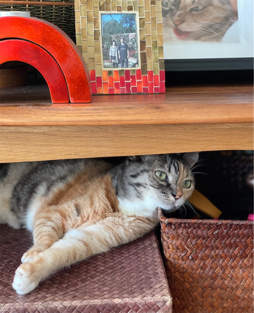 f:id:hiraryo0201:20221002175459j:image f:id:hiraryo0201:20221002175459j:image