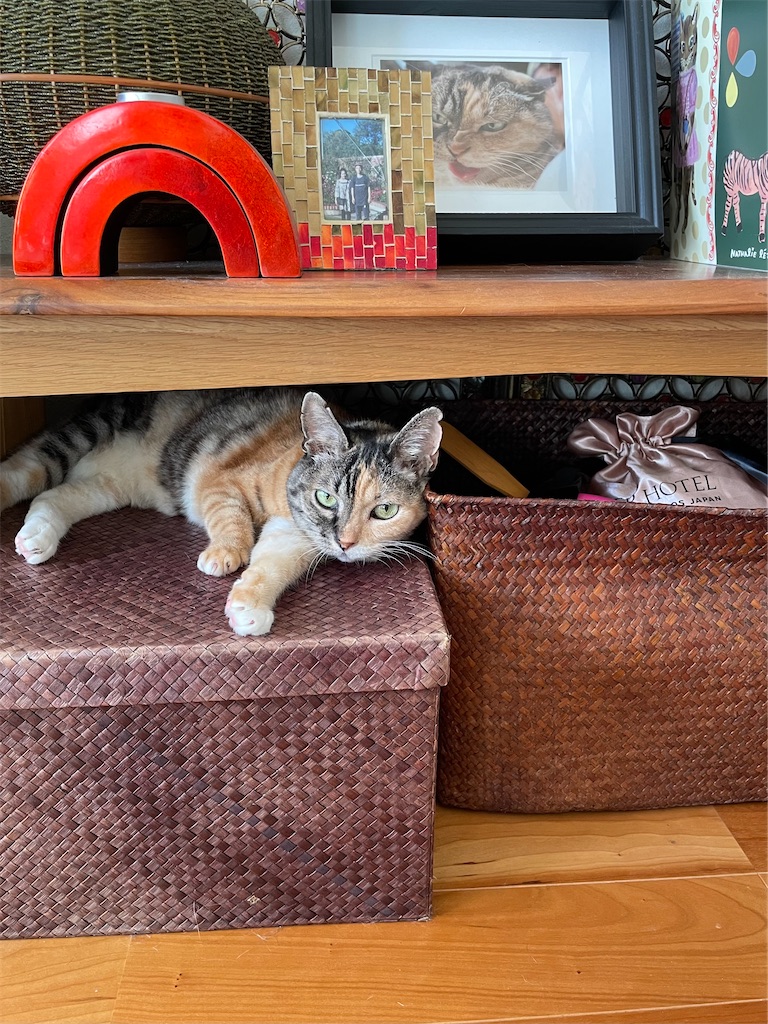 f:id:hiraryo0201:20221002175503j:image f:id:hiraryo0201:20221002175503j:image