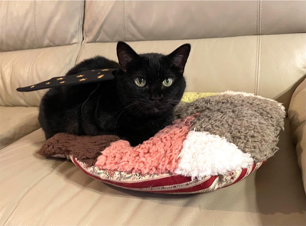 f:id:hiraryo0201:20221002175656j:image