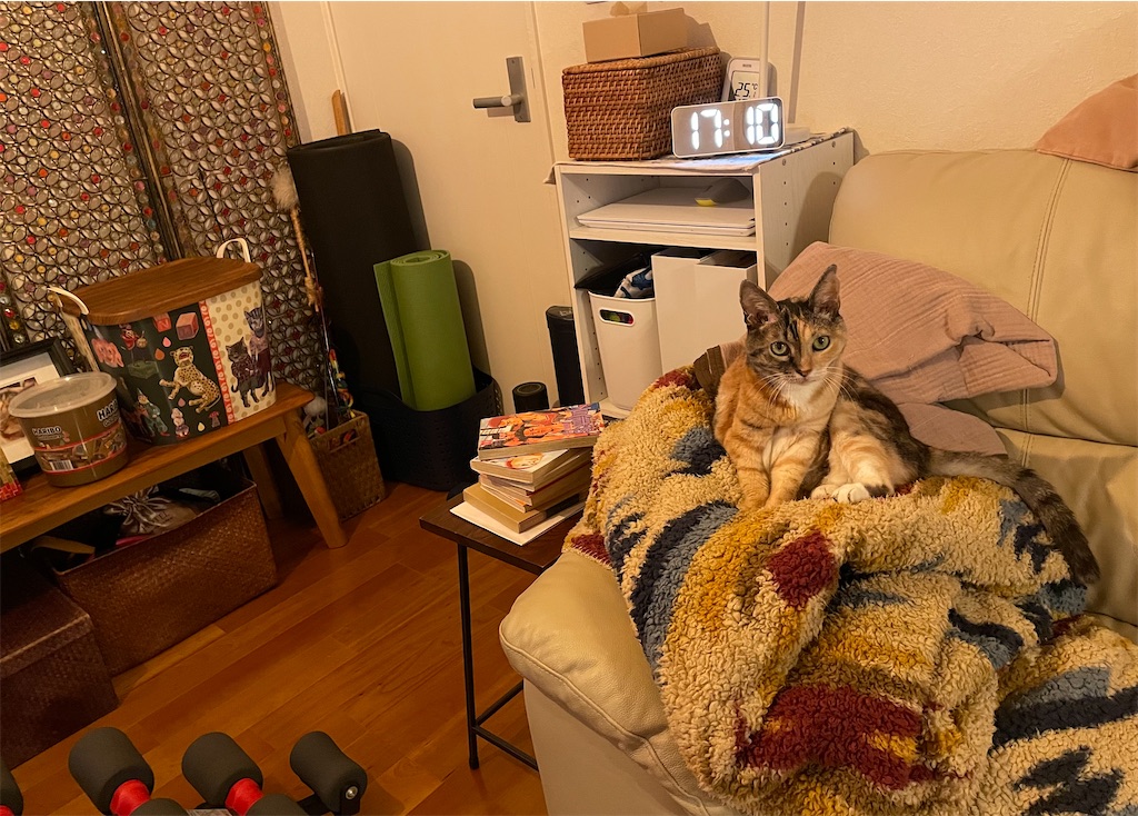 f:id:hiraryo0201:20221002175702j:image f:id:hiraryo0201:20221002175702j:image