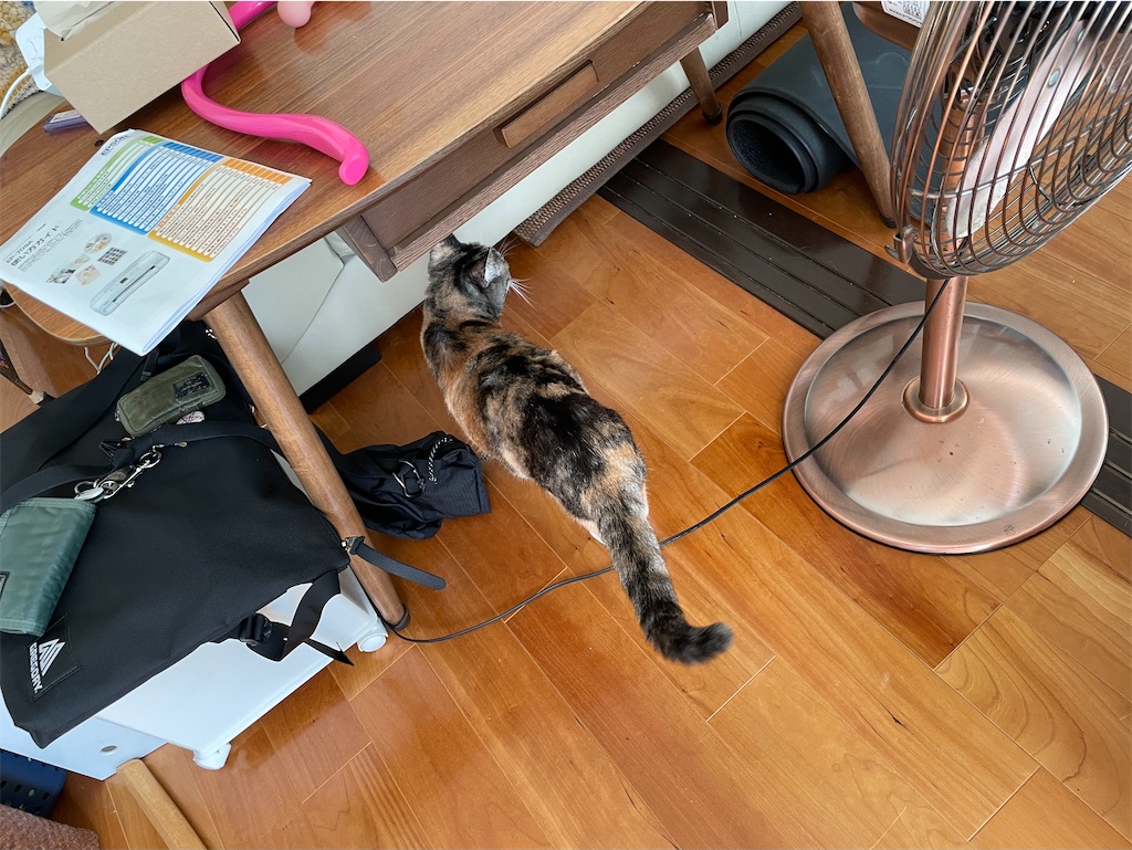 f:id:hiraryo0201:20221002180623j:image f:id:hiraryo0201:20221002180623j:image