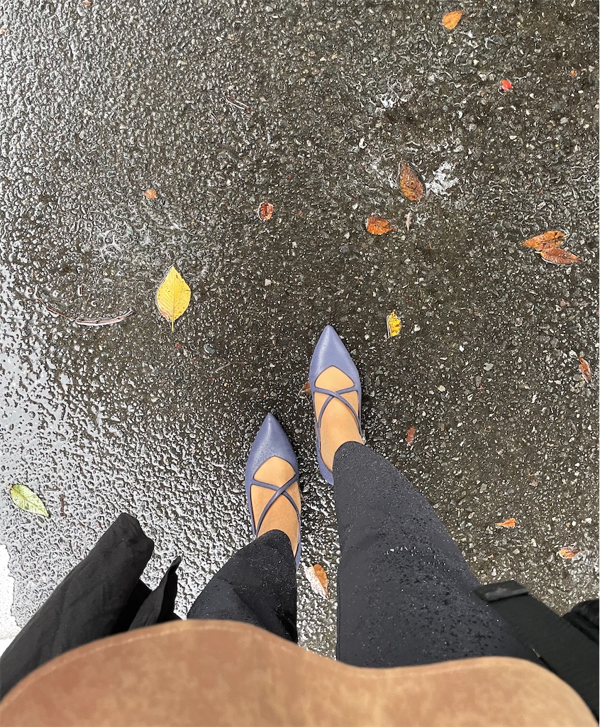 f:id:hiraryo0201:20221009055343j:image f:id:hiraryo0201:20221009055343j:image