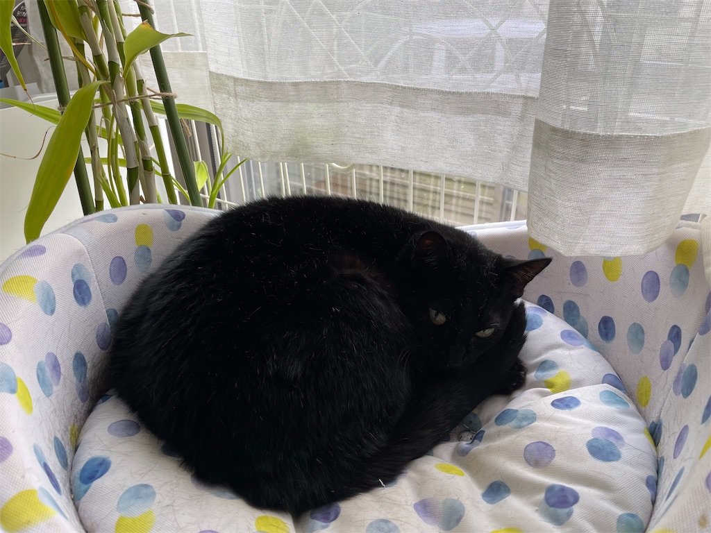 f:id:hiraryo0201:20221009055402j:image f:id:hiraryo0201:20221009055402j:image