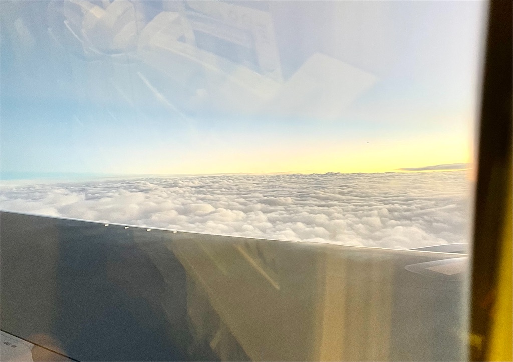 f:id:hiraryo0201:20221009055408j:image f:id:hiraryo0201:20221009055408j:image